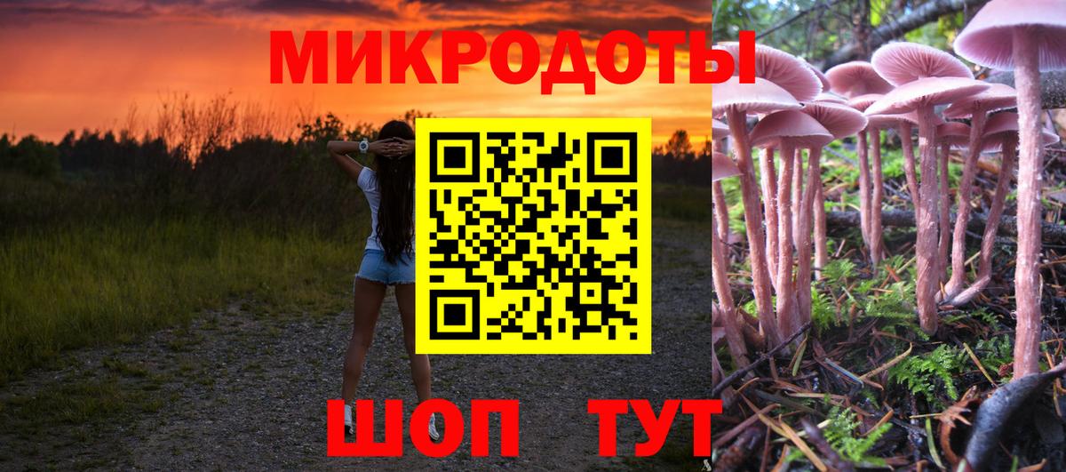 Камышлов  цены наркотик  Вход с VPN  Галлюциногенные грибы прущие грибы 